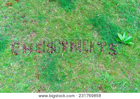 Chestnut Nuts On Green Grass Forming Word Chetnuts. Nature Background