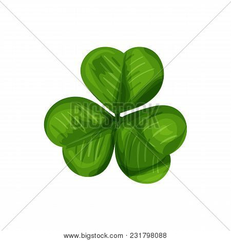 Clover Icon Top View Isolated On White Background