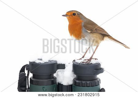 Close Up View Of A Robin Redbreast Bird Sat On Top Of A Pair Of Binoculars Facing Left During Winter