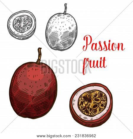 Passion Fruit Fruit Color Sketch Icon. Vector Isolated Symbol Of Fresh Whole And Slice Cut Exotic Tr