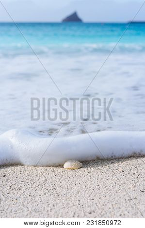 Seashell On Sandy Beach Covered By White Foam Of Rolling Ocean Wave. Tropical Beach With Azure Water