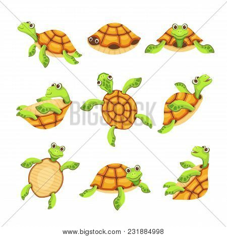 Happy Turtle Icons Set. Cartoon Illustration Of 9 Happy Turtle Vector Icons For Web