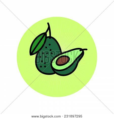 Avocado Flat Illustration. Avocado Icon. Avocado One Cut In Half With Bone And A Whole Avocado With 