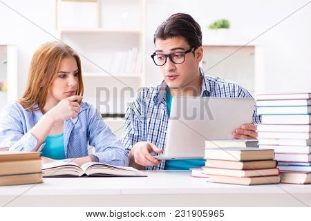 Two students preparing to school exams