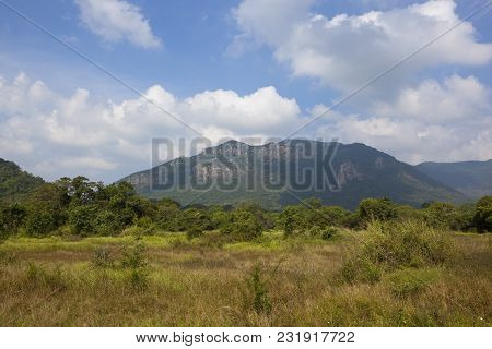 Central Sri Lanka Mountain Landscape With Tropical Forest And Wild Grasses Under A Blue Cloudy Sky N