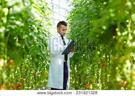 Hothouse engineer in whitecoat and formalwear making working notes in document