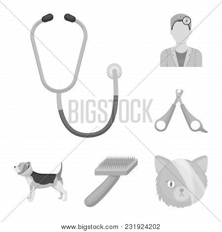 Veterinary Clinic Monochrome Icons In Set Collection For Design. Treatment Of A Pet Vector Symbol St