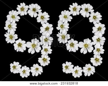 Arabic Numeral 99, Ninety Nine, Ninety, Nine, From White Flowers Of Cerastium Tomentosum, Isolated O