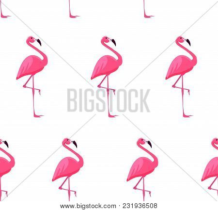 Seamless Pattern With Flamingo Birds. Vector Illustration