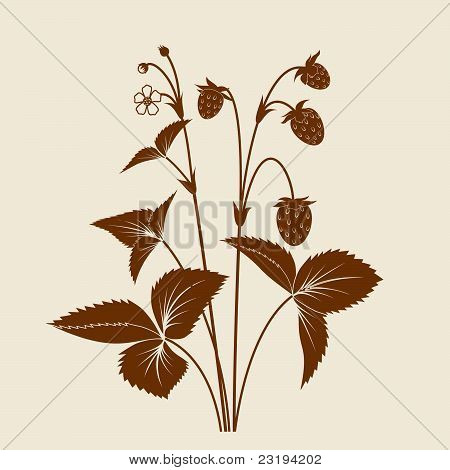 Jordgubbe buske silhuett isolerade