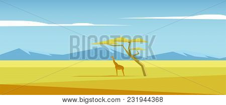 African Vector Landscape With Giraffe Standing Under The Acacia Tree In The Middle Of Savannah And M