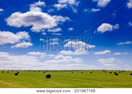 English rural landscape with plastic wrapped hay bales on a field in Southern England UK