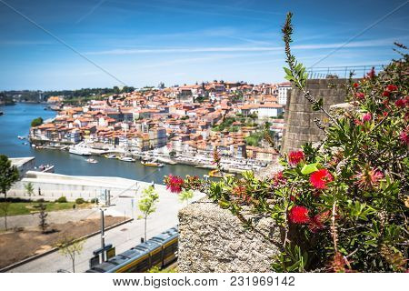 Panorama Of Porto Old Town And Duoro River. Portugal
