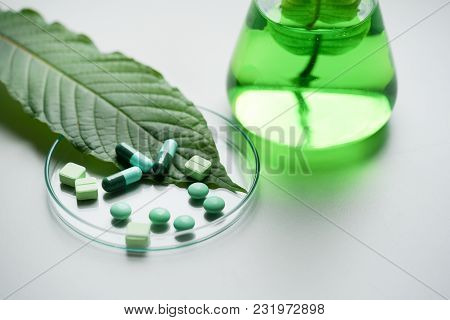 Mitragyna Speciosa Korth (kratom) Drug Plant With Pills In The Laboratory Research.