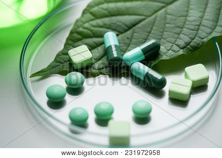 Mitragyna Speciosa Korth (kratom) Drug Plant With Pills In The Laboratory Research.