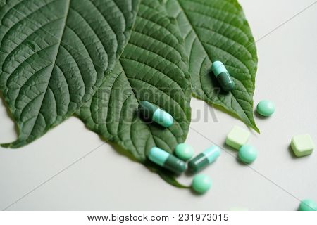 Mitragyna Speciosa Korth (kratom) Drug Plant With Pills In The Laboratory Research.