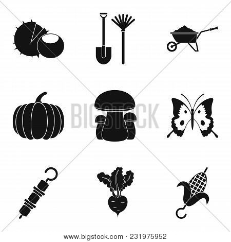 Cabbage Icons Set. Simple Set Of 9 Cabbage Vector Icons For Web Isolated On White Background