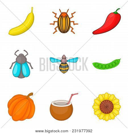 Slicing Icons Set. Cartoon Set Of 9 Slicing Vector Icons For Web Isolated On White Background