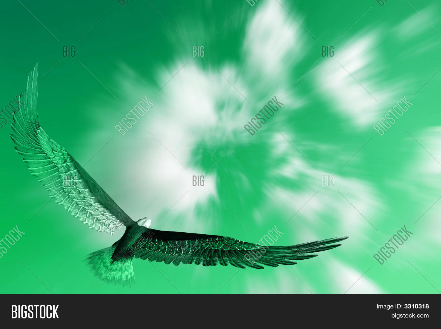 Image Preview