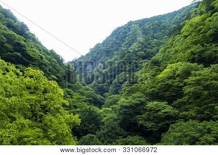 Deep Green Mountains Of Okutama Tokyo Japan