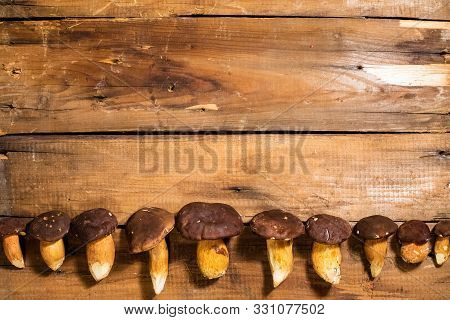 Mushrooms Boletus Lie On A Wooden Table, Boletaceae, Top View, Close Up