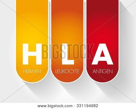 Hla - Human Leukocyte Antigen Acronym, Health Concept Background