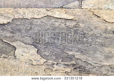 Etailed Close Up View On Concrete Wall Textures With Cracks And Lots Of Stucture In High Resolution