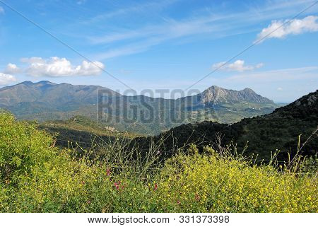 Elevated View Of The Countryside In The Springtime With Views Towards The Mountains, Sierra Bermeja 