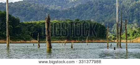 Beautiful Nature Of Tropical Rain-forest At Royal Belum State Park, Perak Malaysia.