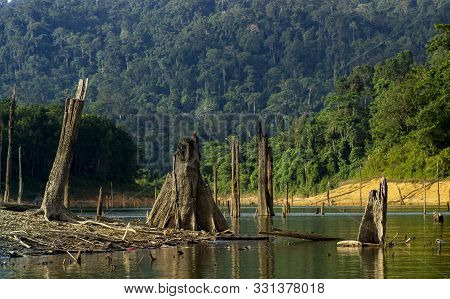 Beautiful Nature Of Tropical Rain-forest At Royal Belum State Park, Perak Malaysia.