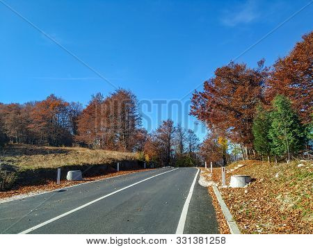 Journey For The New Experience In The Nature On A Beautiful Autumn Fall Day And Asphalt Transportati