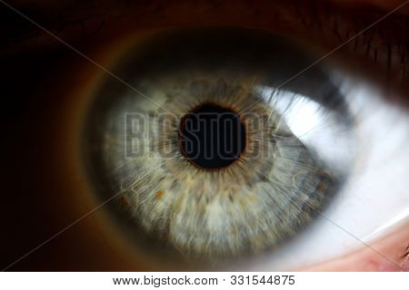 Green Human Eye Extreme Closeup In Low Light Technique
