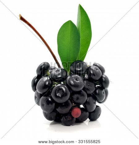 Jambolan Plum Or Java Plum Isolated On White Background