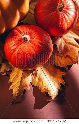 Autumn Composition Of Pumpkins And Yellow Leaves. Stock Photo Of Pumpkins On Dry Leaves.