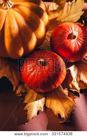 Autumn Composition Of Pumpkins And Yellow Leaves. Stock Photo Of Pumpkins On Dry Leaves.