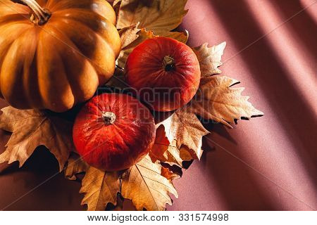 Autumn Composition Of Pumpkins And Yellow Leaves. Stock Photo Of Pumpkins On Dry Leaves.
