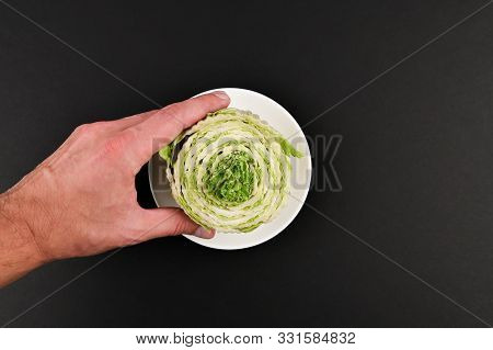 Peking Cabbage In A Hand On A Black Background. White Beijing Cabbage. Permanent Manager Of Fresh, D
