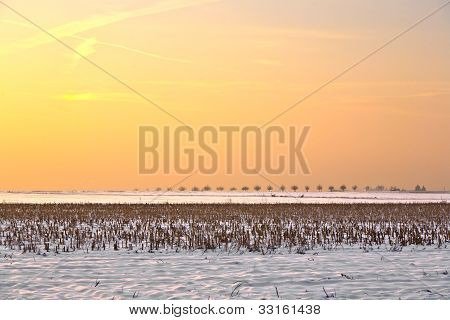 Paesaggio con neve coperto campi In inverno