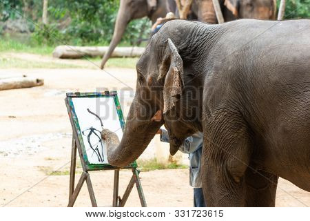 Lampang, Thailand - Oct 13, 2019:-elephant Painting In Picture Elephant, At The Thai Elephant Conser