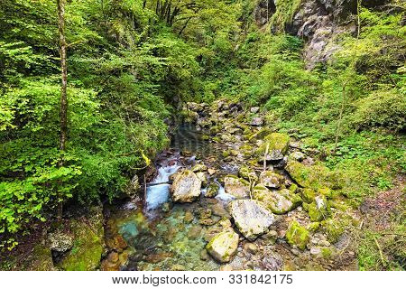 Beautiful Wild Nature In Tolmin Gorge. Fast Mountain Zadlascica River Flows Between The High Mountai
