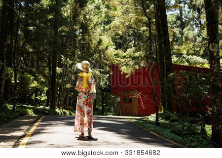 traveling Asian woman hiking in the forest at Xitou, Nantou, Taiwan