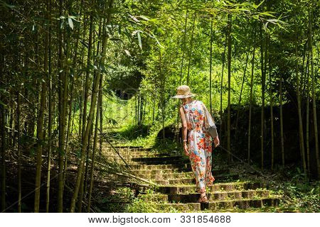 traveling Asian woman hiking in the forest at Xitou, Nantou, Taiwan