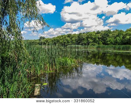 Views Of Hungarian Nature Reserve Kis Balaton (little Balaton)in The Near From Lake Balaton With Blu