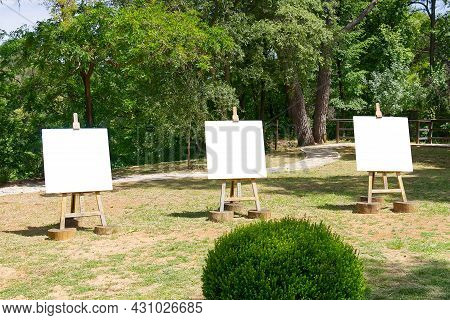 Easel With A Blank White Sheet Of Paper Stands Against The Backdrop Of A Rural Landscape. Isolated E