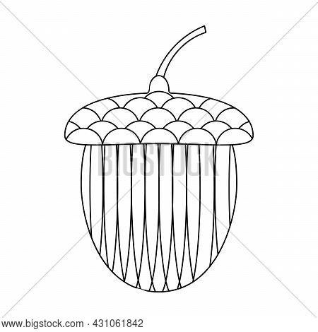 Coloring Book Acorn For Older Choldren. Hand Drawn Vector Illustration.