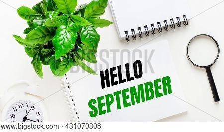 On A Light Background, There Is A White Alarm Clock, A Magnifying Glass, A Green Plant And A Noteboo