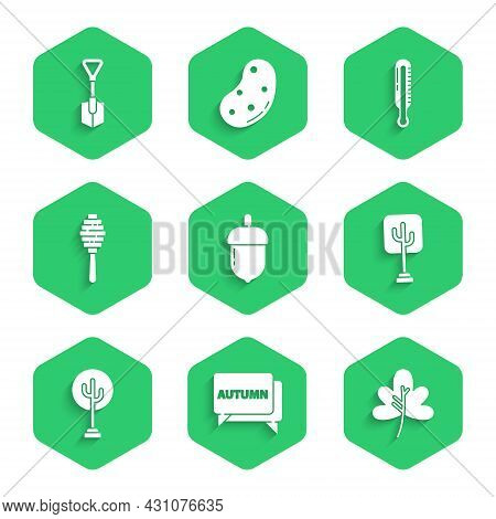 Set Acorn, Speech Bubble With Text Autumn, Leaf Leaves, Tree, Honey Dipper Stick, Meteorology Thermo