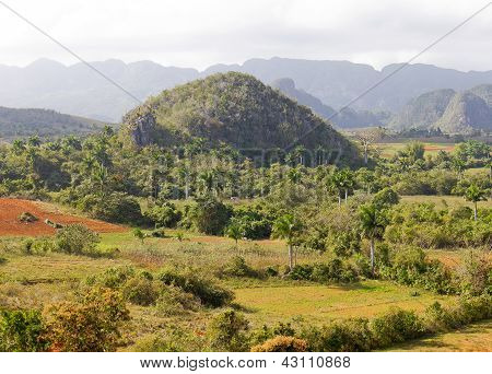 paisaje tropical