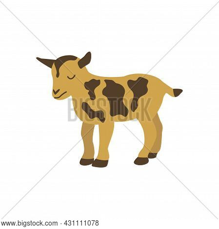 American Pygmy Goat. Mammal Herbivore. Colorful Vector Isolated Illustration Hand Drawn. Farm Animal