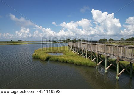 Marsh Land Of Assateague Island Located On The Eastern Shore Of Maryland.